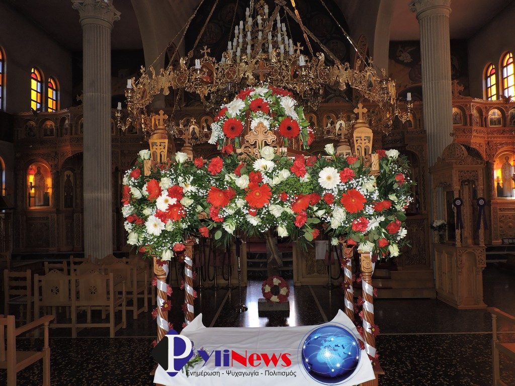 7 Pialeia