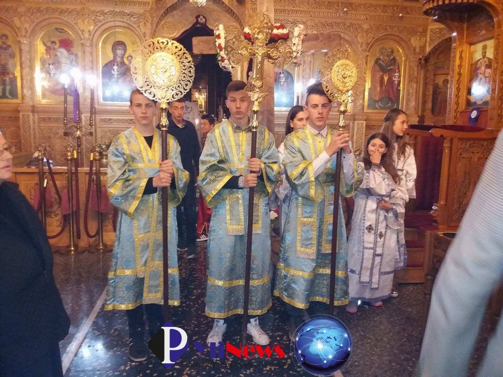 pialeia 1 (1)