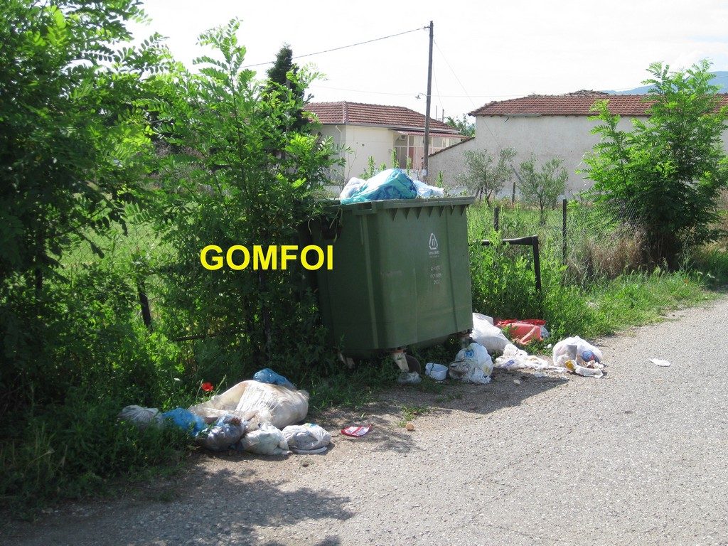 gOMFOI (1) copy