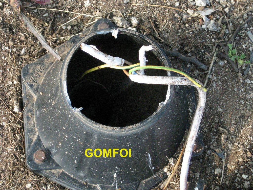 gOMFOI (6) copy