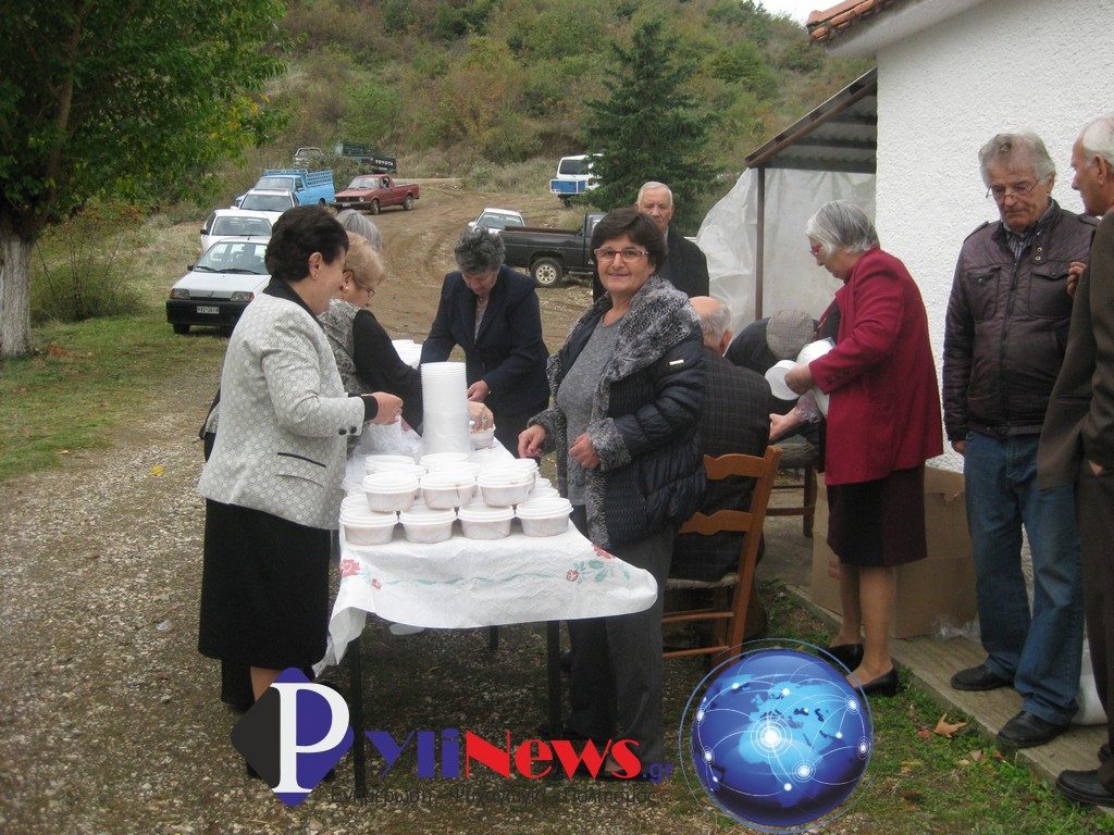 Gomfoi (1)