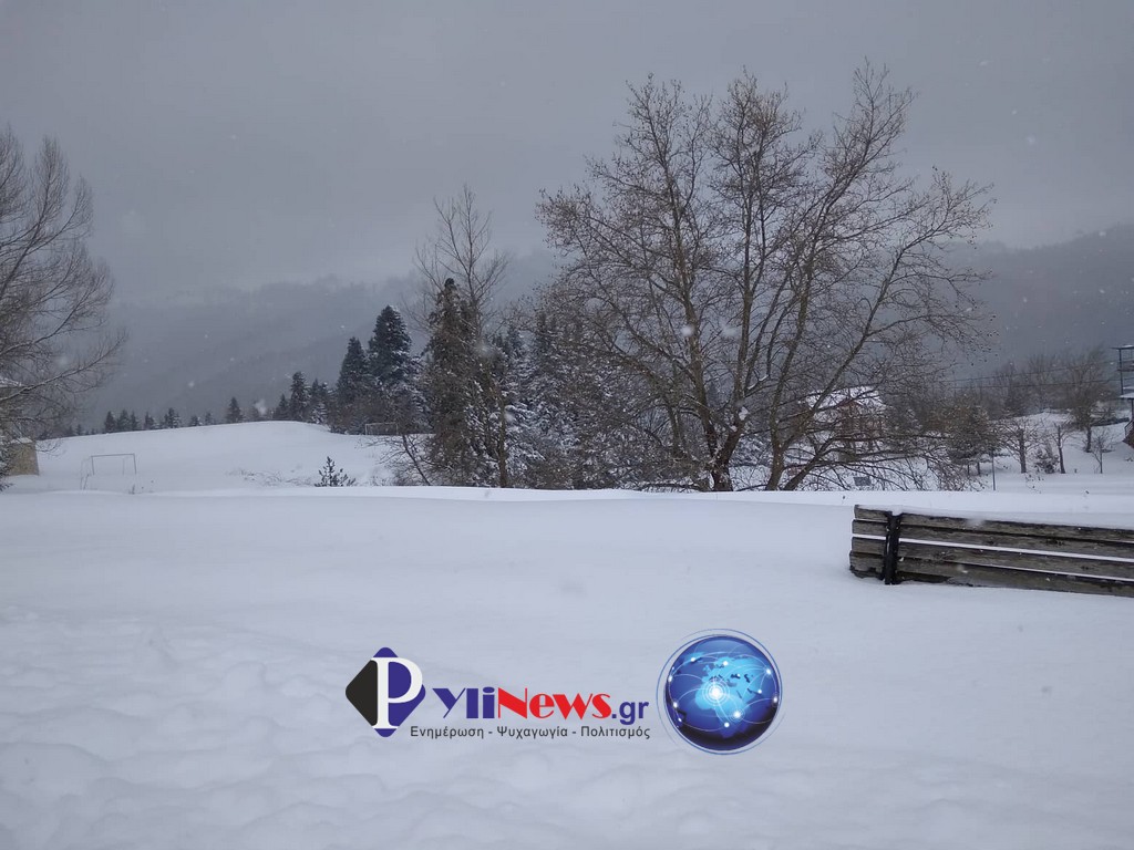 nERAIDOXORI (4)