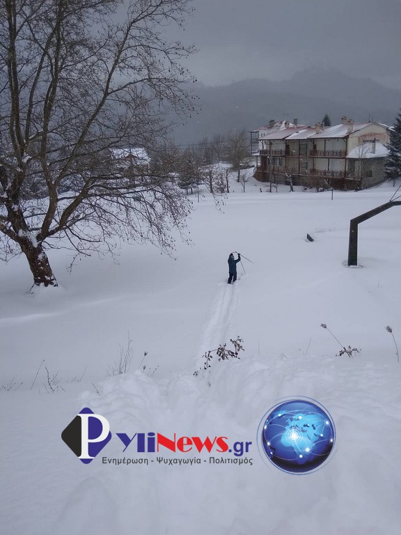 nERAIDOXORI (7)
