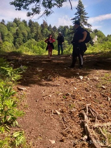 oreivatikos Pialeia (3)