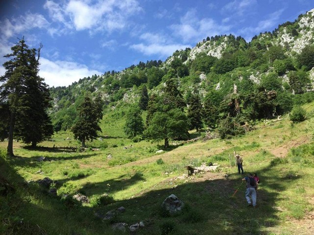 oreivatikos Pialeia (4)