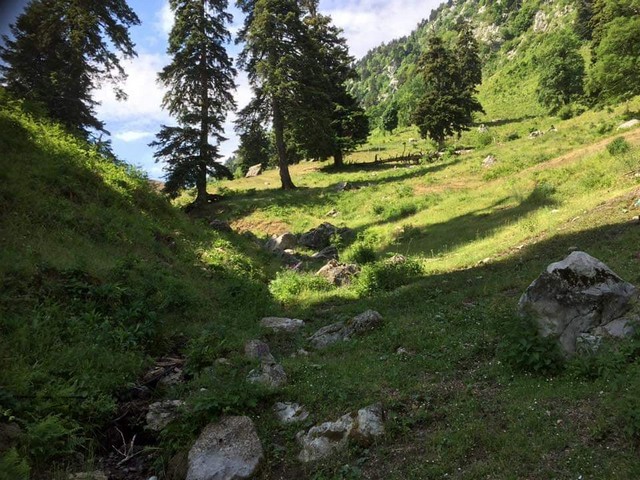 oreivatikos Pialeia (5)