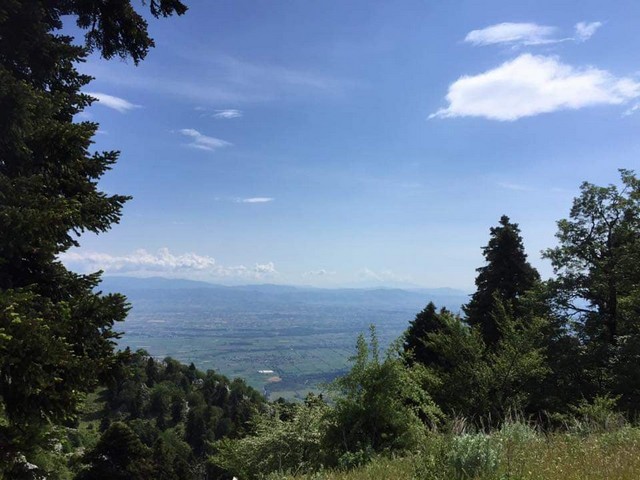 oreivatikos Pialeia (6)