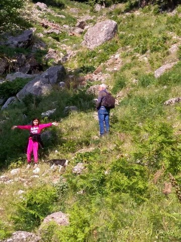 oreivatikos Pialeia (7)