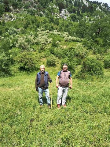 oreivatikos Pialeia (8)