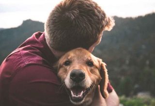 Male hugging a cute dog whit blurred natural background in  Lake