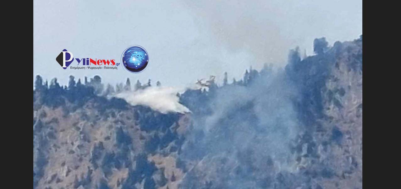 Καναντέρ, επιχειρούν με ρίψεις νερού στα Στουρναραίικα