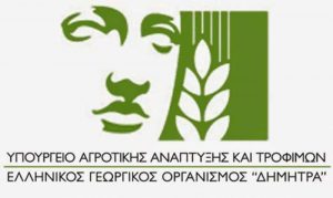 dimitra yp amapt