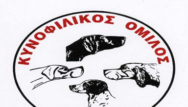 KOT