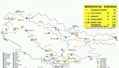 MONOPATIA