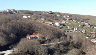 vlaxva