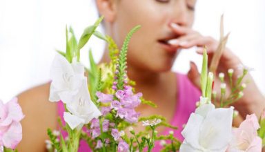 Allergies-1