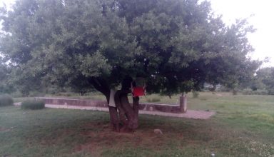 dentro