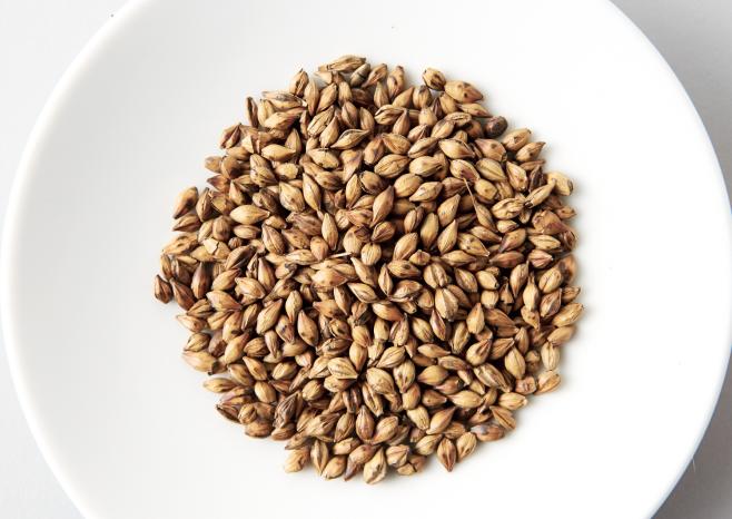Barley_grains_3