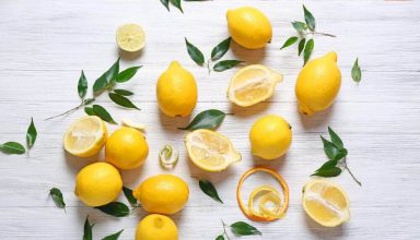 lemonia