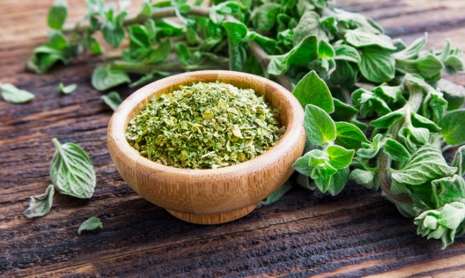 fresh-and-dried-oregano-herb-on-wooden-background-picture-id653084104