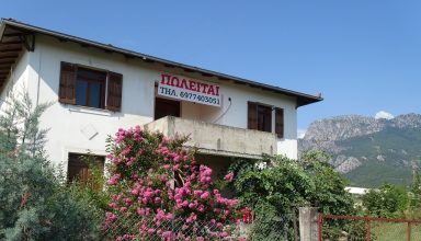 Mezoneta Pyli ok Sak (3)