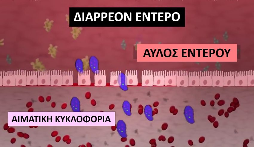 entero