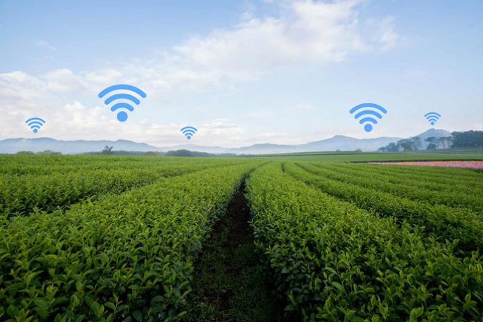 smart-farming-wifi-xorafia-696x464