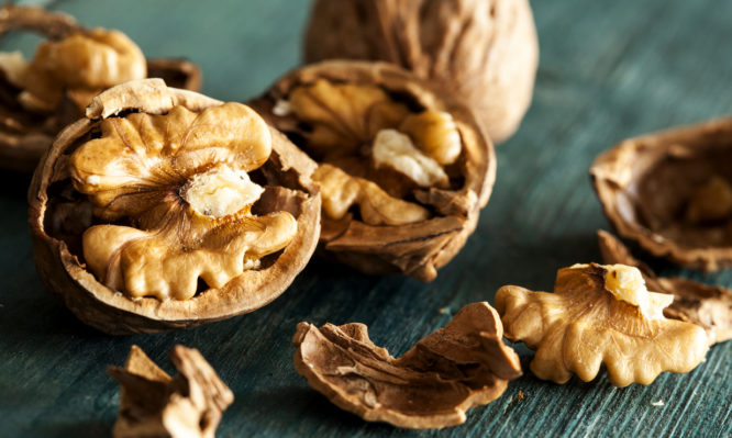 iStock-481114288-666x399