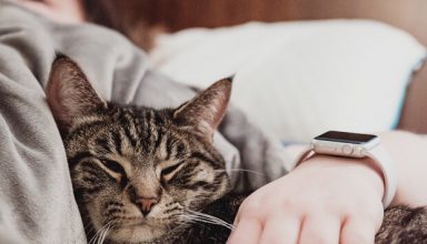 chris-abney-178950-unsplash