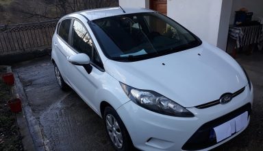 ford fiesta (1)