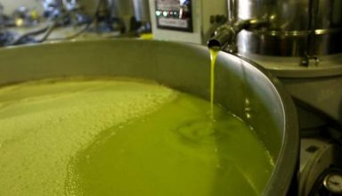 OilVat-696x383