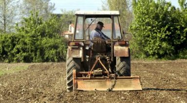 agrotes-2_20