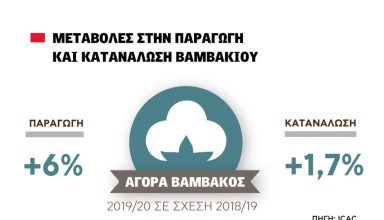 vamvaki_site-pagkosmia-paragwgi-katanalwsi_2