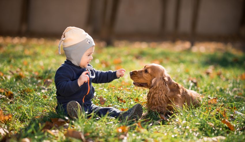 little boy sitting on the grass with a dog