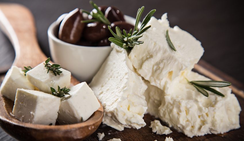 Greek cheese feta, still-life.