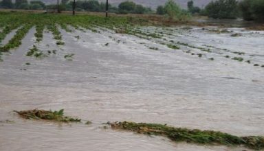 πλημμυρισμένα-χωράφια2
