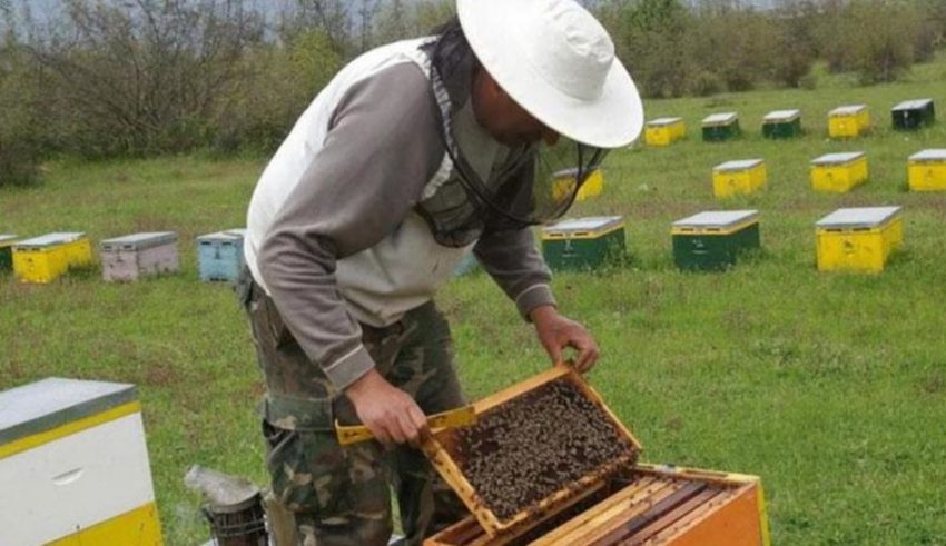 μελισσοκόμοι-1021x580