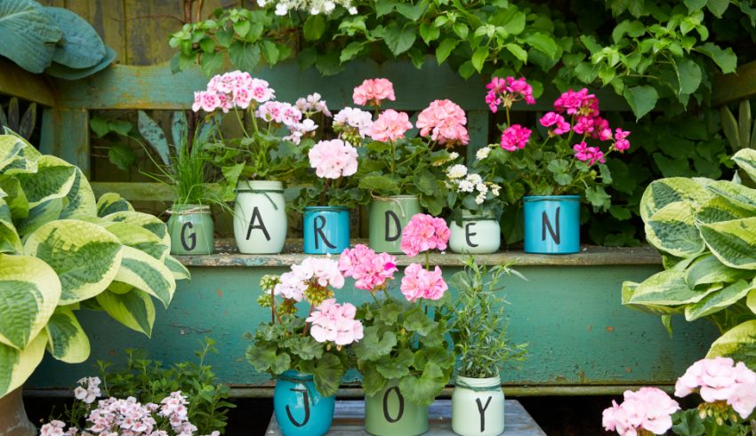 2021_Geraniums_3020_DIY_Jars_of_Blooming_Joy_02