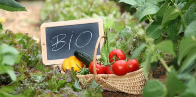 biologiki
