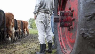 stock_dairy_farm_app_2