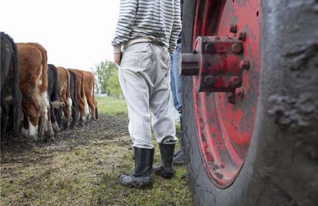 stock_dairy_farm_app_2