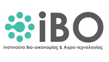 IBO