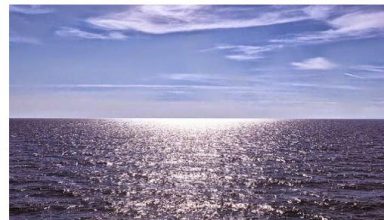thalassa