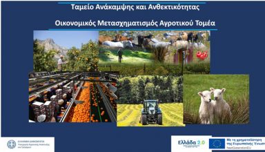 Tameio anakmpsis