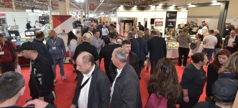 mdf_expo_2022_3