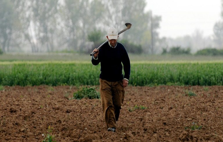 agrotes1_1804