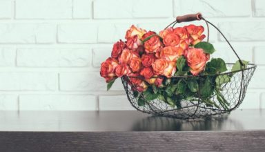 thehomeissue_roses-620x354