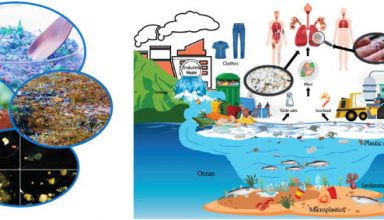 microplasticsfigure