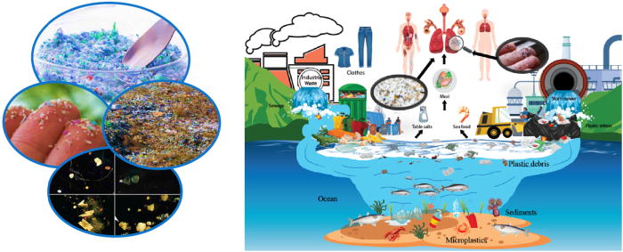microplasticsfigure