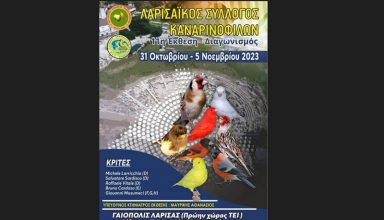 LASYK